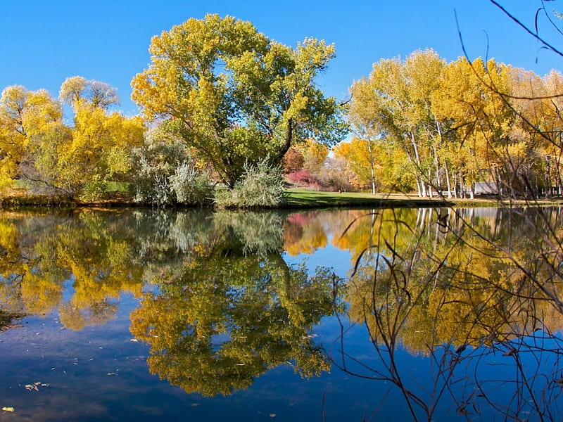 Lake In Reflection, Pond, Autumn, Nature, Park, Reflection, Trees, Lake 