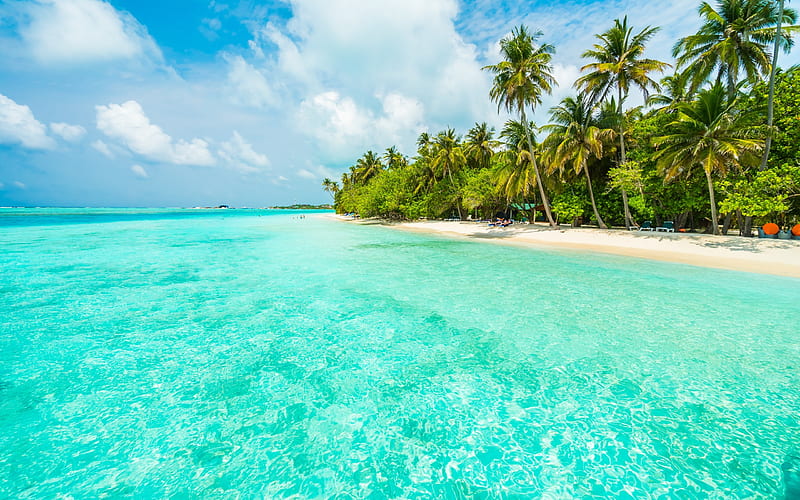 tropical island, beach, summer travel, blue lagoon, palm trees, sand, HD wallpaper