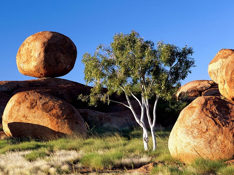 Balancing Boulder, australia, tree, balancing, boulders, HD wallpaper