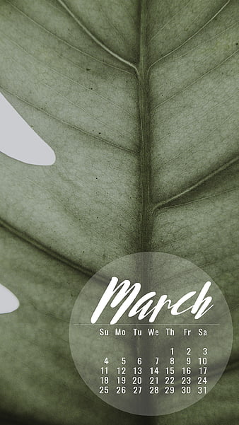 March Wallpaper 2024  38 Free  Aesthetic Backgrounds for Phone