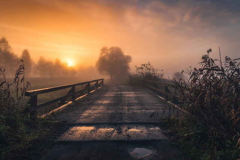 Bridges, Bridge, Fog, Nature, Outdoor, Sunset, HD wallpaper