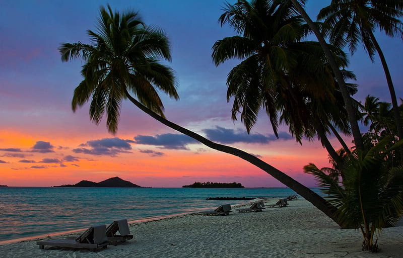 Sunset in Samoa, polynesia, dusk, sunset, twilight, sea, atoll, palm trees, beach, sand, evening, night, desert, exotic, islands, ocean, samoa, paradise, island, tropical, HD wallpaper