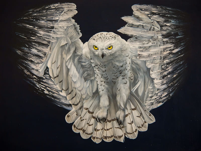 Owl, jon ching, bufnita, pasari, wings, black, white, bird, art, painting, pictura, HD wallpaper