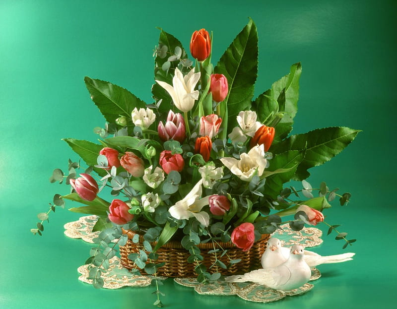 Tulip Arrangement, doily, still life, doves, green, bouquet, basket, flowers, arrangement, tulips, HD wallpaper