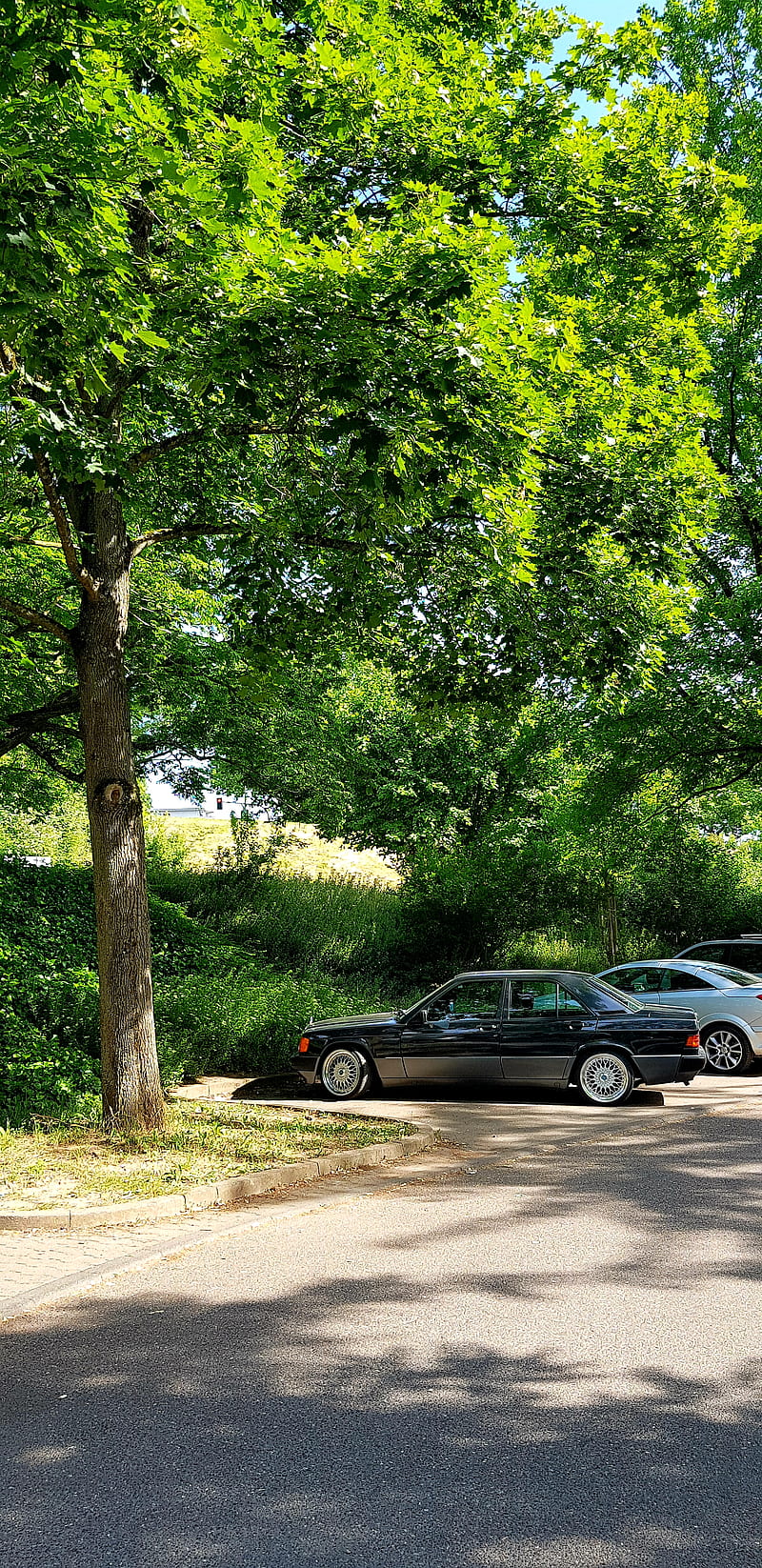 Mercedes 190, babybenz, car, forest, lowrider, oldschool, tree, w201, HD phone wallpaper