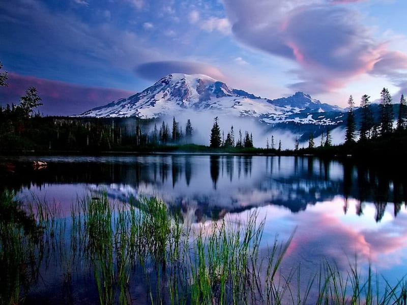 Mount Rainier, amazing, lovely, view, grass, dusk, bonito, sky, clouds ...