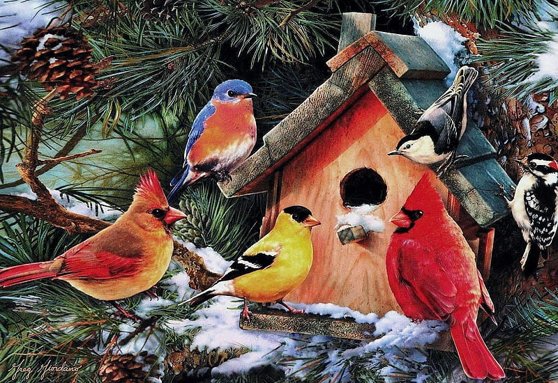 Bird's Home, snow, winter, cardinals, songbirds, pinecone, goldfinch, HD wallpaper