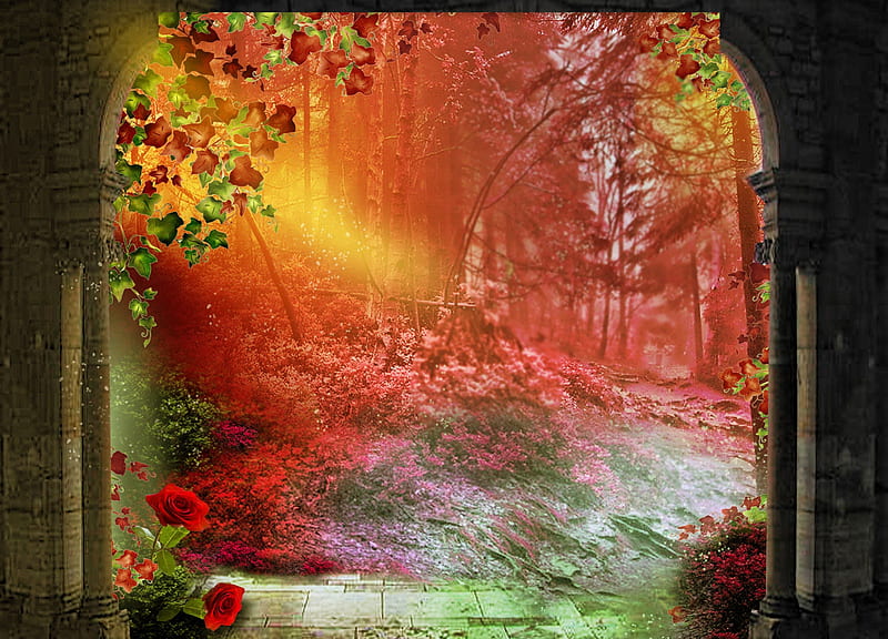 ✰ARCH of RED ROSES in WOOD✰, rocks, pretty, Resources, creations, Backgrounds, Nature, sparkle, splendor, grasses, flowers, forests, lovely, trees, cute, cool, arch, Stock , sighting, splendidly, shining, red roses, colorful, designs, dazzling, woods, bonito, leaves, Premade, Roserika, magnificent, gorgeous, imaginations, colors, wilds, Fantasy, vine, ivy, HD wallpaper