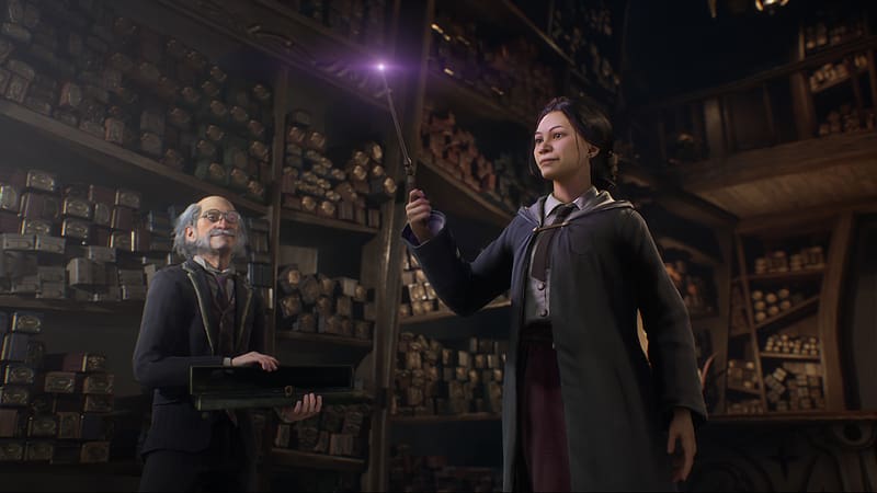Harry Potter, Video Game, Hogwarts Legacy, HD wallpaper