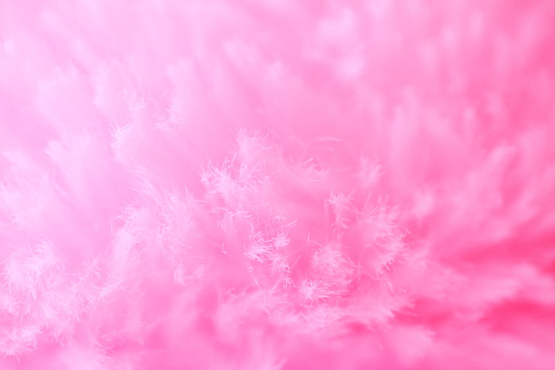 fibers, macro, structure, pink, HD wallpaper