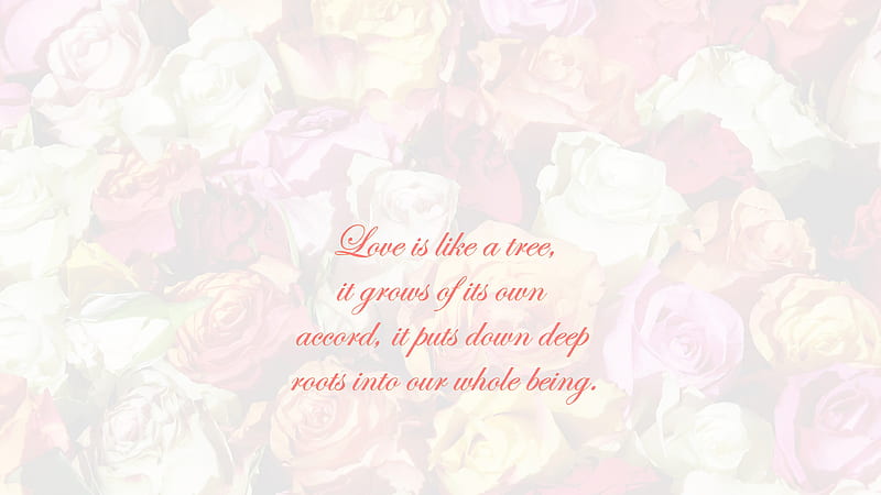 Love Is Like A Tree It Grows Of Its Own Accord Love Quotes, HD wallpaper