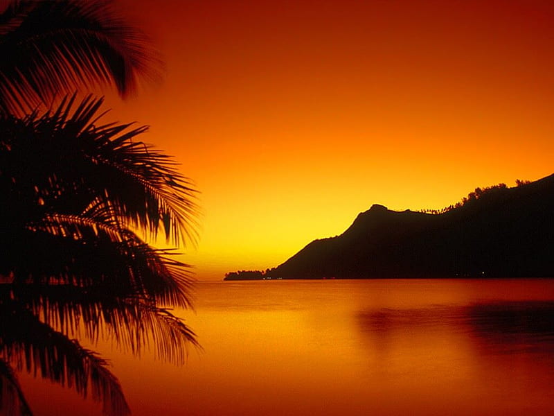 Hawaiian sunset , britney, michel, shakira, sahil, jackson, nair, HD wallpaper