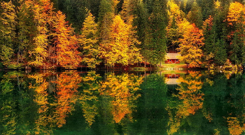 Reflections in the fall, mirror, tranquility, fall, colors, beautiful ...