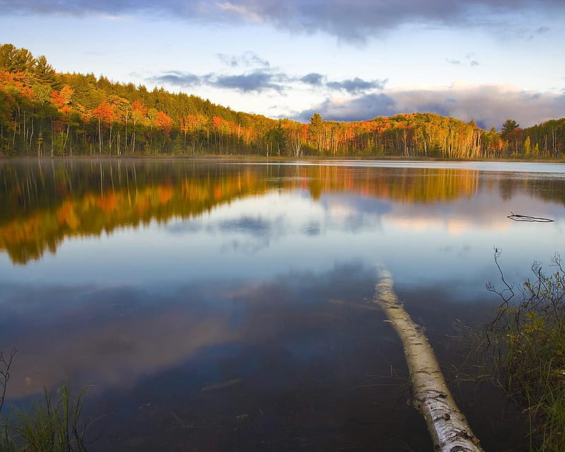Council Lake Hiawatha Michigan, colors, sky, trees, lake, HD wallpaper