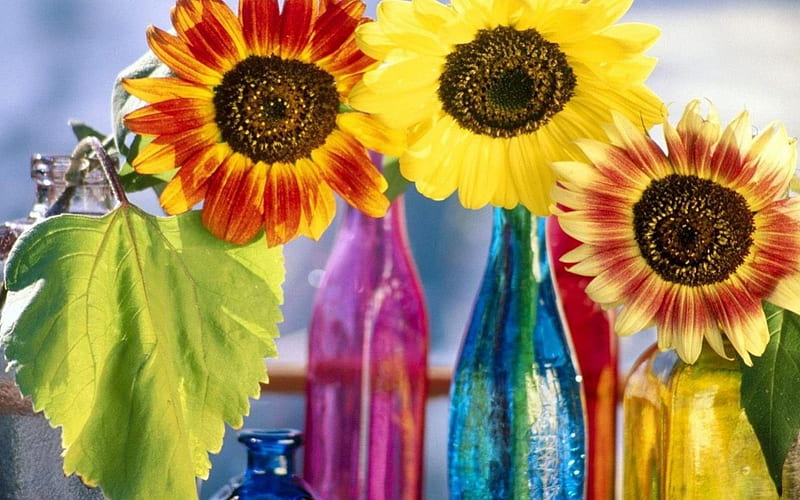 Coloured Bottles Spouting Colour., nice, a, very, of, HD wallpaper