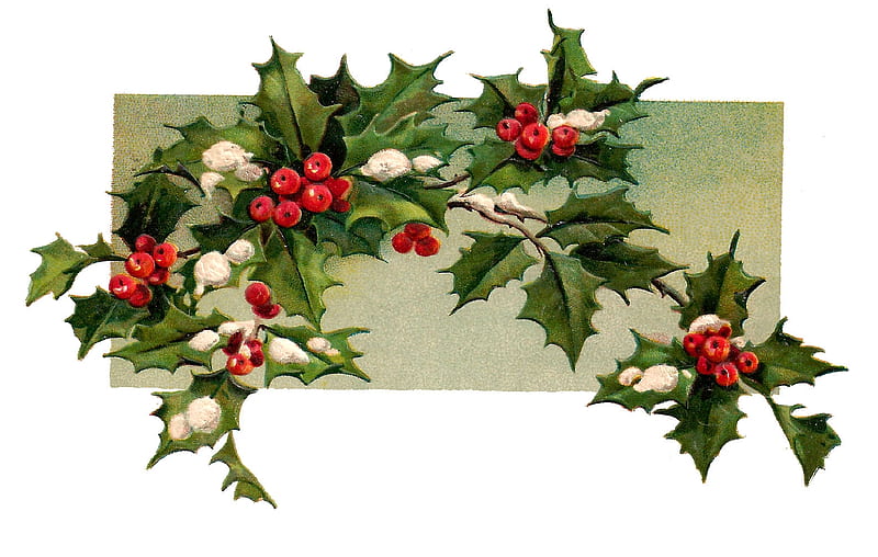 Merry Christmas!, card, red, mistletoe, christmas, green, craciun, vintage, HD wallpaper