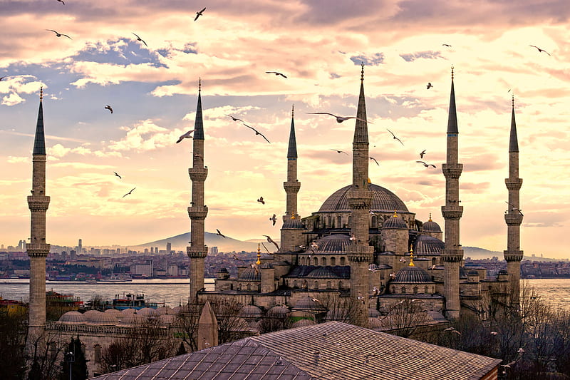 turkey istanbul, sultanahmet mosque, cityscape, birds, architectural, City, HD wallpaper