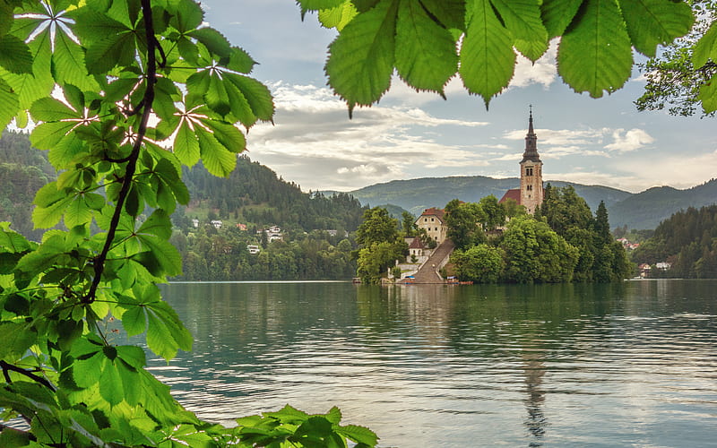 Bled, chestnuts, lake, Alps, summer, Slovenia, HD wallpaper