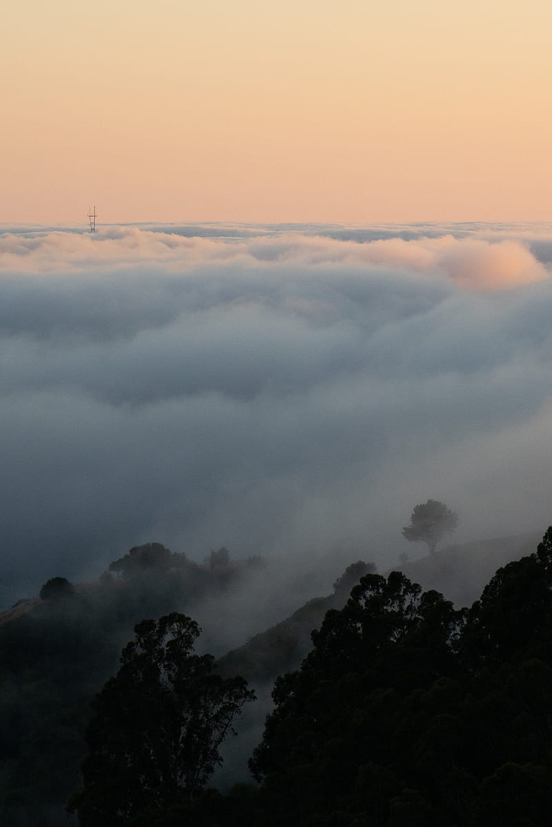 fog, slope, clouds, trees, sky, HD phone wallpaper