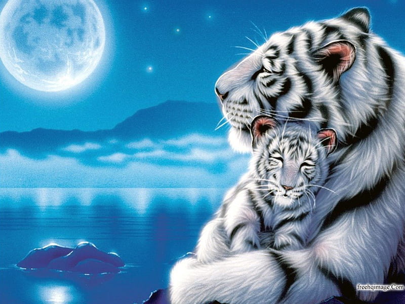 mama and baby, tigers, mother, love, of, HD wallpaper