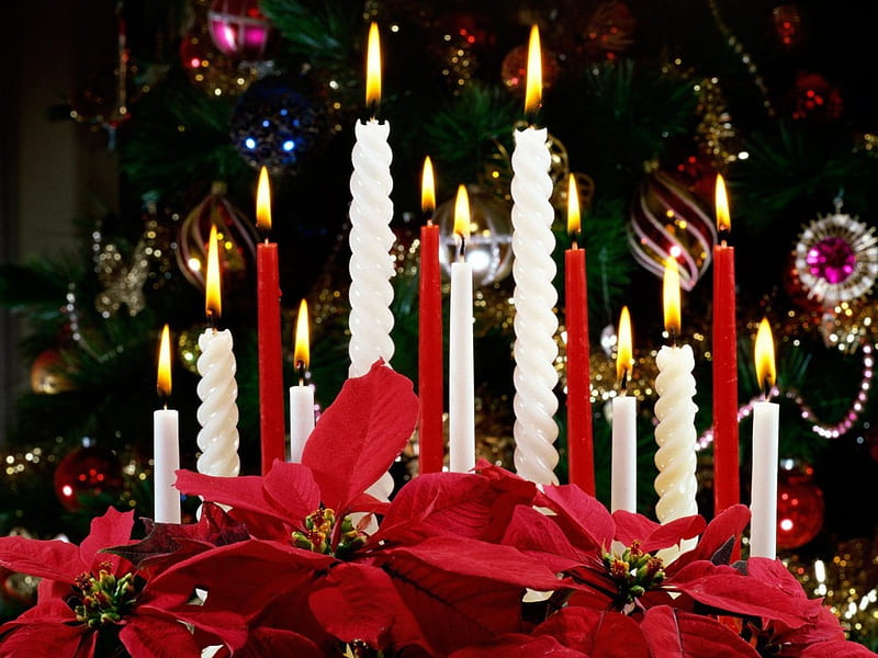 Christmas Candelabra, christmas, candelabra, christmas candles, candles, HD wallpaper