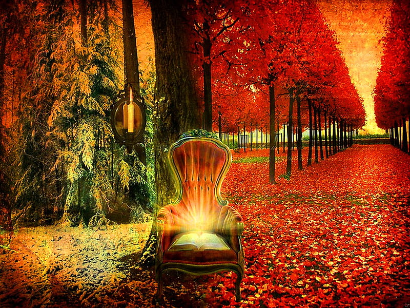 Magic chair, fall, autumn, row, book, magic, chair, trees, light, HD wallpaper