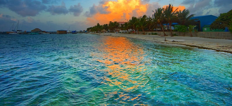 Dawn At Ambergris Caye, town, Belize, bonito, trees, sky, dawning, clouds, beach, seashore, Caribbean Sea, sunrise, island, HD wallpaper