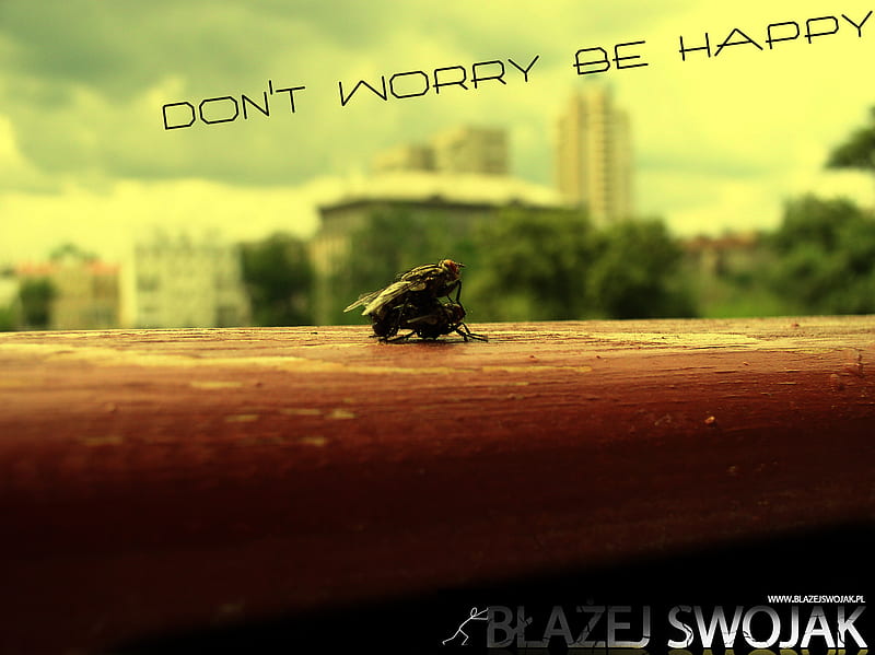 dont worry be happy, warry, dont, be, happy, HD wallpaper