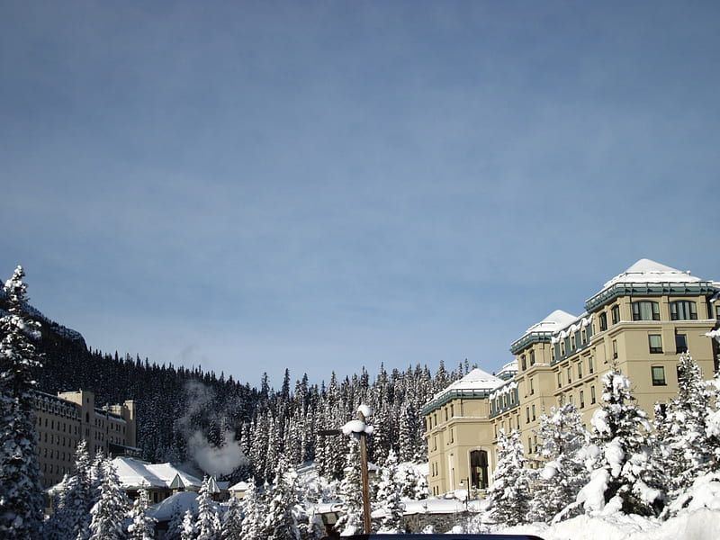 Winter at Banff Alberta - Canada, Trees, Sky, White, graphy, Snow, Blue ...