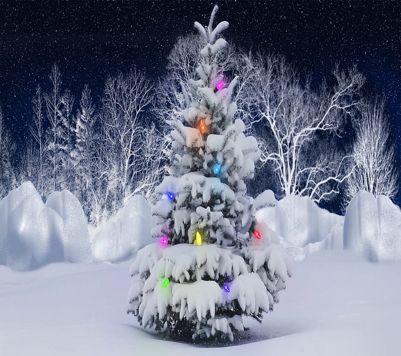 Xmas Tree, Holiday, Tree, Winter, Xmas, Hd Wallpaper 