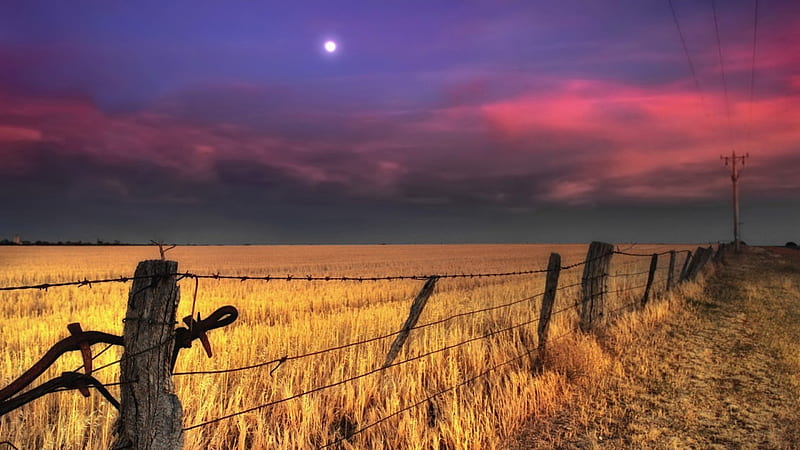 moon over a fenced yellow field, fence, moon, electric lines, clouds, field, HD wallpaper