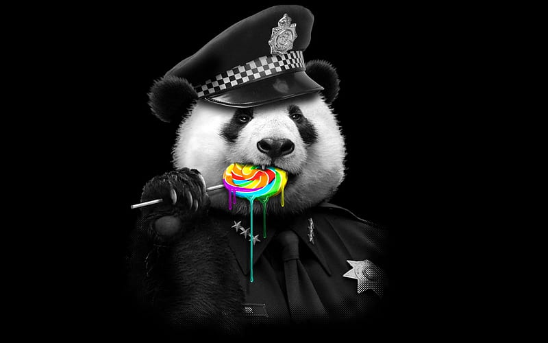 Panda, candy, lollipop, bear, black, creative, hat, fantasy, funny, white, pink, HD wallpaper