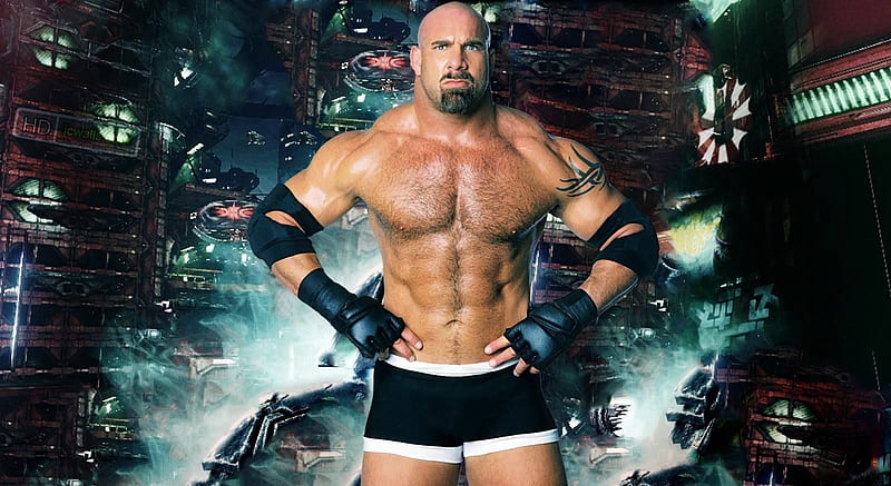 Goldberg, ehtertainment, WWE, cool, wrestling, TV series, fun, HD wallpaper