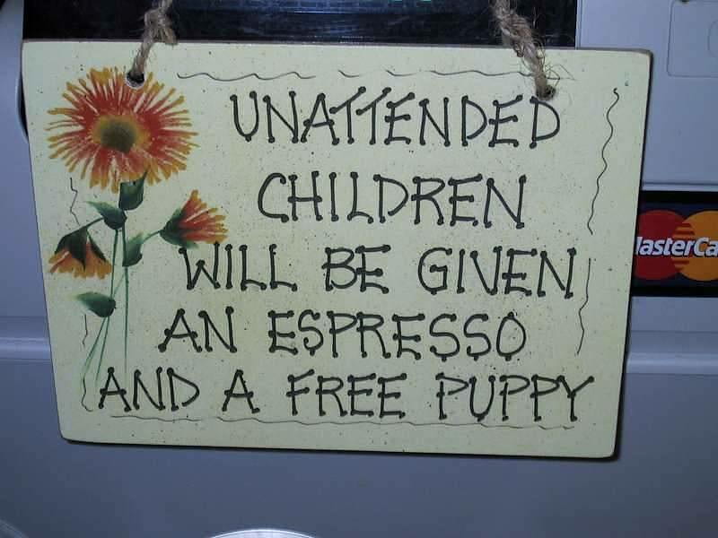 Keep Children Attended, flower, shop, sign, white, HD wallpaper