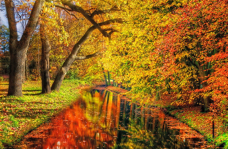 Autumn reflection-R, pretty, autumn, grass, orange, yellow, bonito ...
