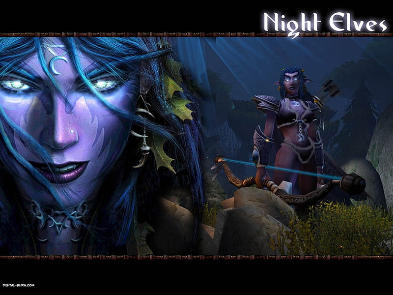 nightelves, night elves, warcraft, HD wallpaper