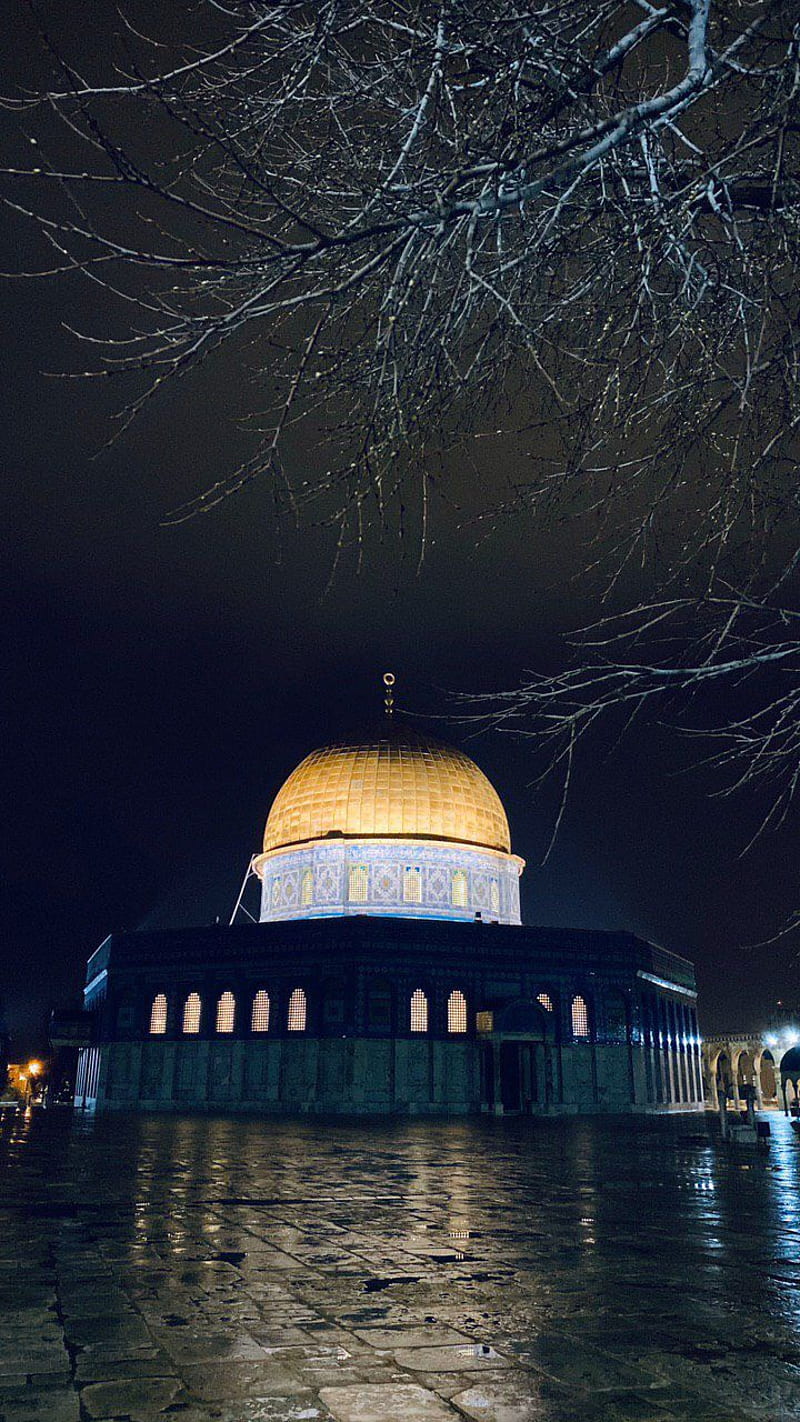 550 Al Aqsa Mosque Pictures  Download Free Images on Unsplash