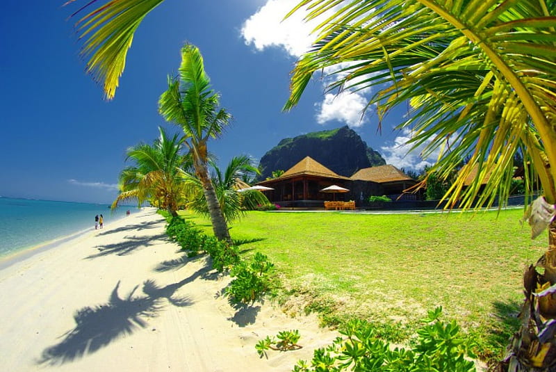 Palm beach, shore, grass, breeze, bonito, sea, beach, huts, vacation, exotic, ocean, relax, sky, palms, tree, water, restaurant, summer, walk, sands, HD wallpaper