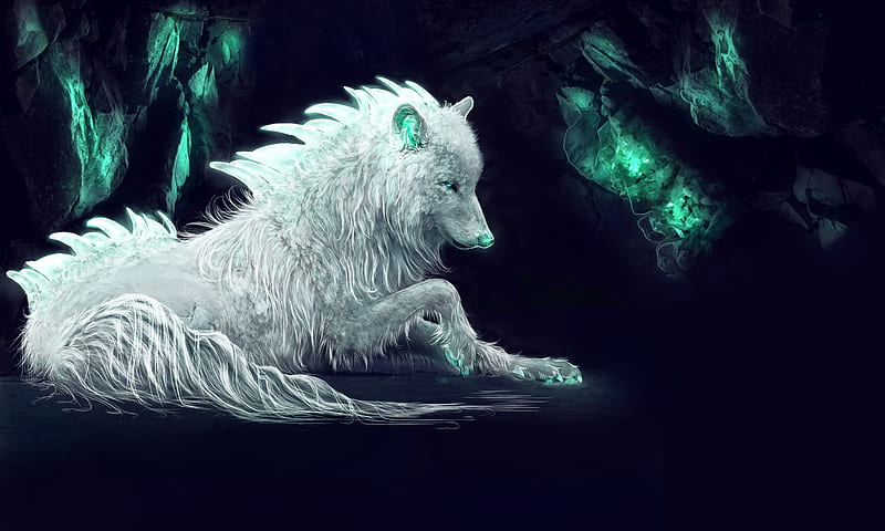 White Wolf Fan Art, wolf, white, art, artist, digital-art, HD wallpaper