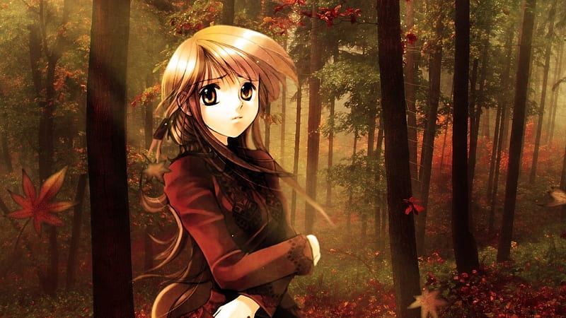Chica anime, otoño, bosque, chica, anime, Fondo de pantalla HD | Peakpx