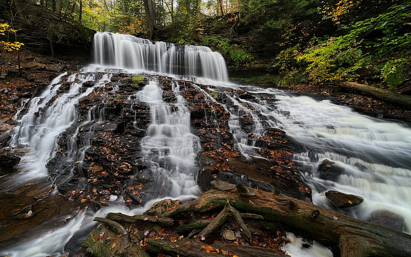 Mohawk Falls, waterfall, forest, rock, autumn, Ricketts Glen State Park, Pennsylvania, USA, HD wallpaper