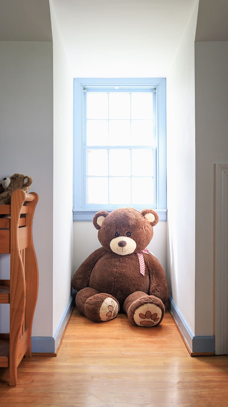 Big Teddy Bear Near The Window, big teddy bear, window, sitting, dark brown, stuff toy, HD phone wallpaper