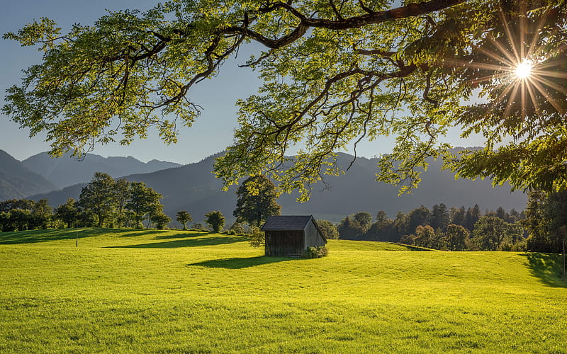 Miesbach meadow, mountains, summer, beautiful nature, Bavaria, Germany, Europe, HD wallpaper
