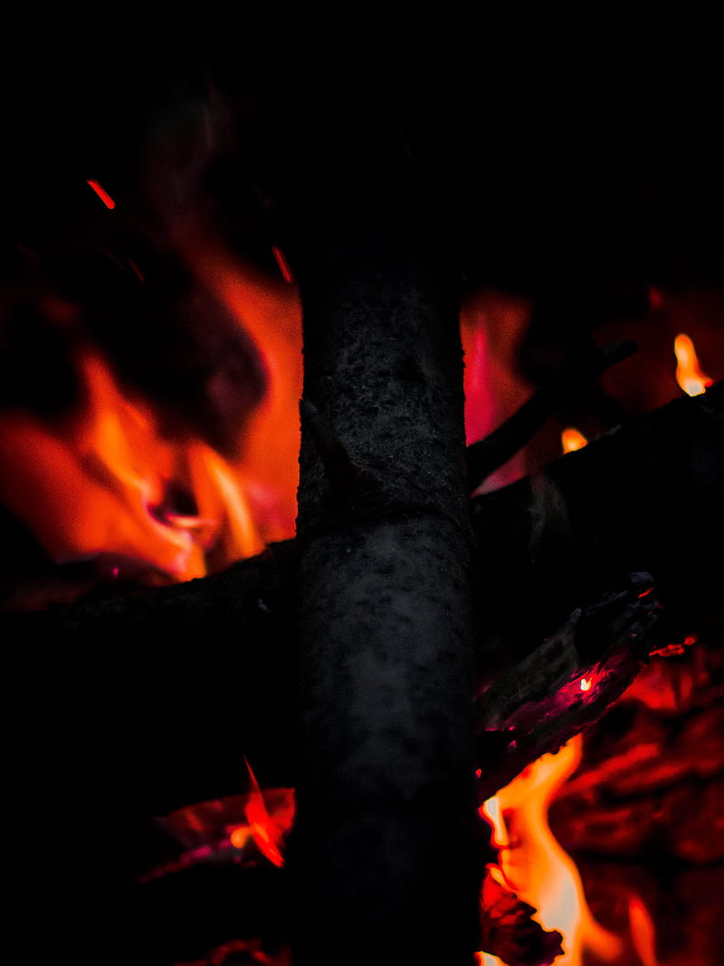 bonfire, fire, wood, heat, dark, HD phone wallpaper