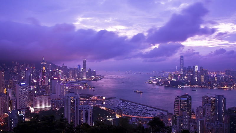 hong kong harbor in purple, city, purple, sunset, clouds, harbor, skyscrapers, HD wallpaper