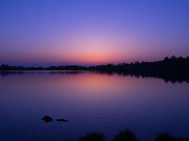 lake, trees, landscape, evening, dark, HD wallpaper