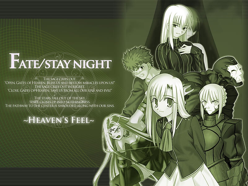 save in fate stay night visual novel