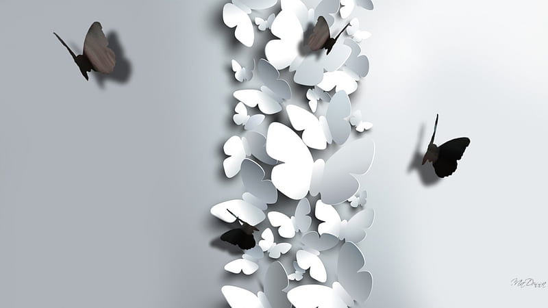 Paper Butterflies Black and White, black and white, cut out, butterflies, spring, abstract, 3D, summer, papillon, papers, HD wallpaper