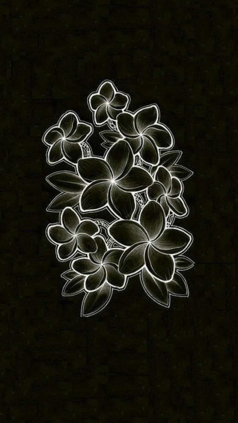 flowers, plumeria, HD phone wallpaper