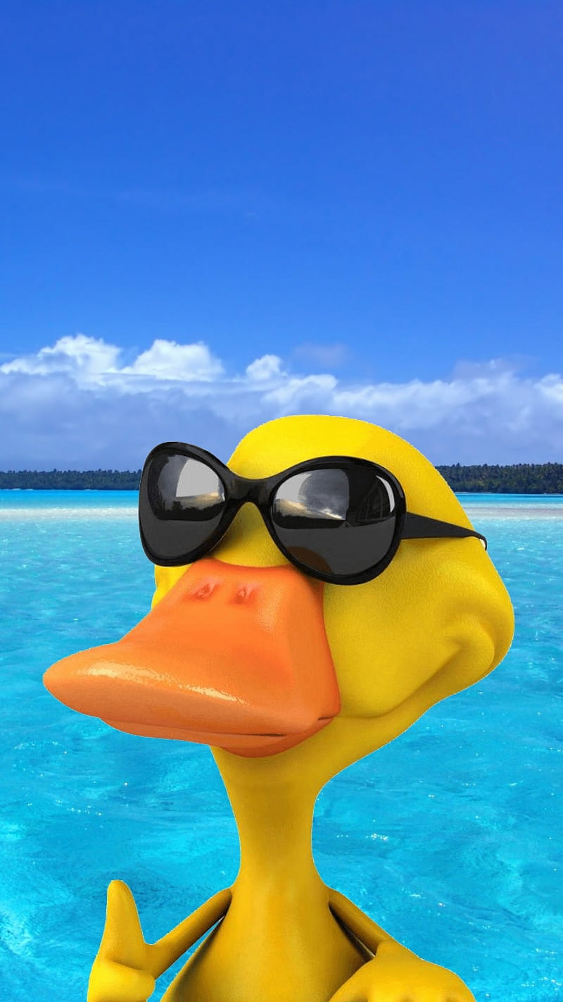 Rubber ducky, beach, yellow, HD phone wallpaper
